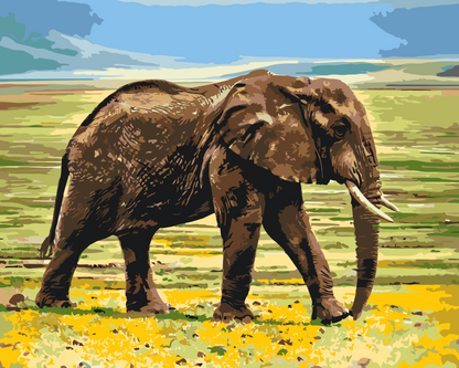 Paint by Numbers - Safari-elefant