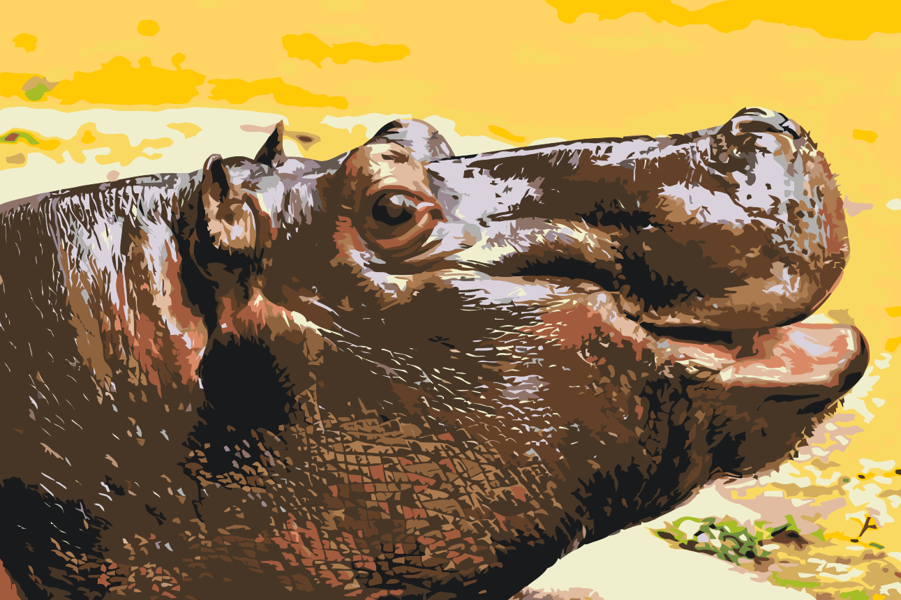 Paint by Numbers - Safari Flodhest