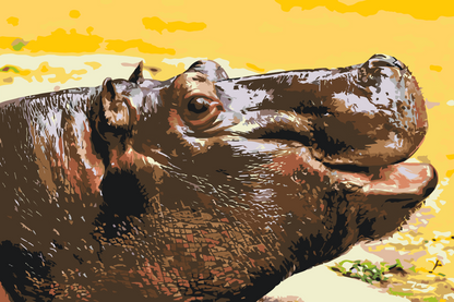 Paint by Numbers - Safari Flodhest