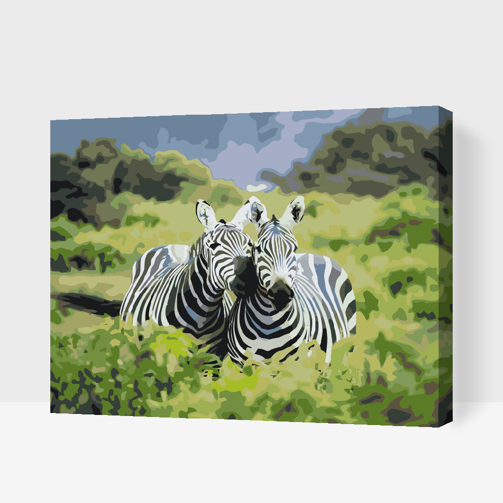 Paint by Numbers - Safarizebraer