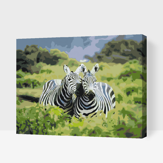Paint by Numbers - Safarizebraer