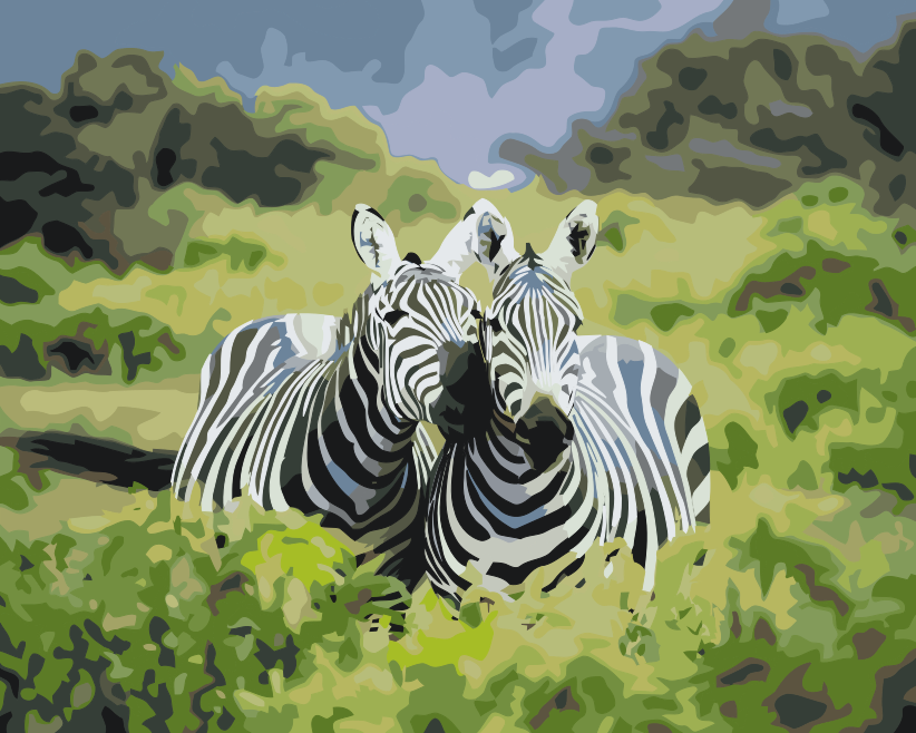 Paint by Numbers - Safarizebraer