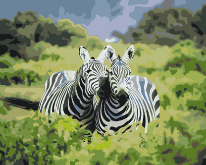 Paint by Numbers - Safarizebraer