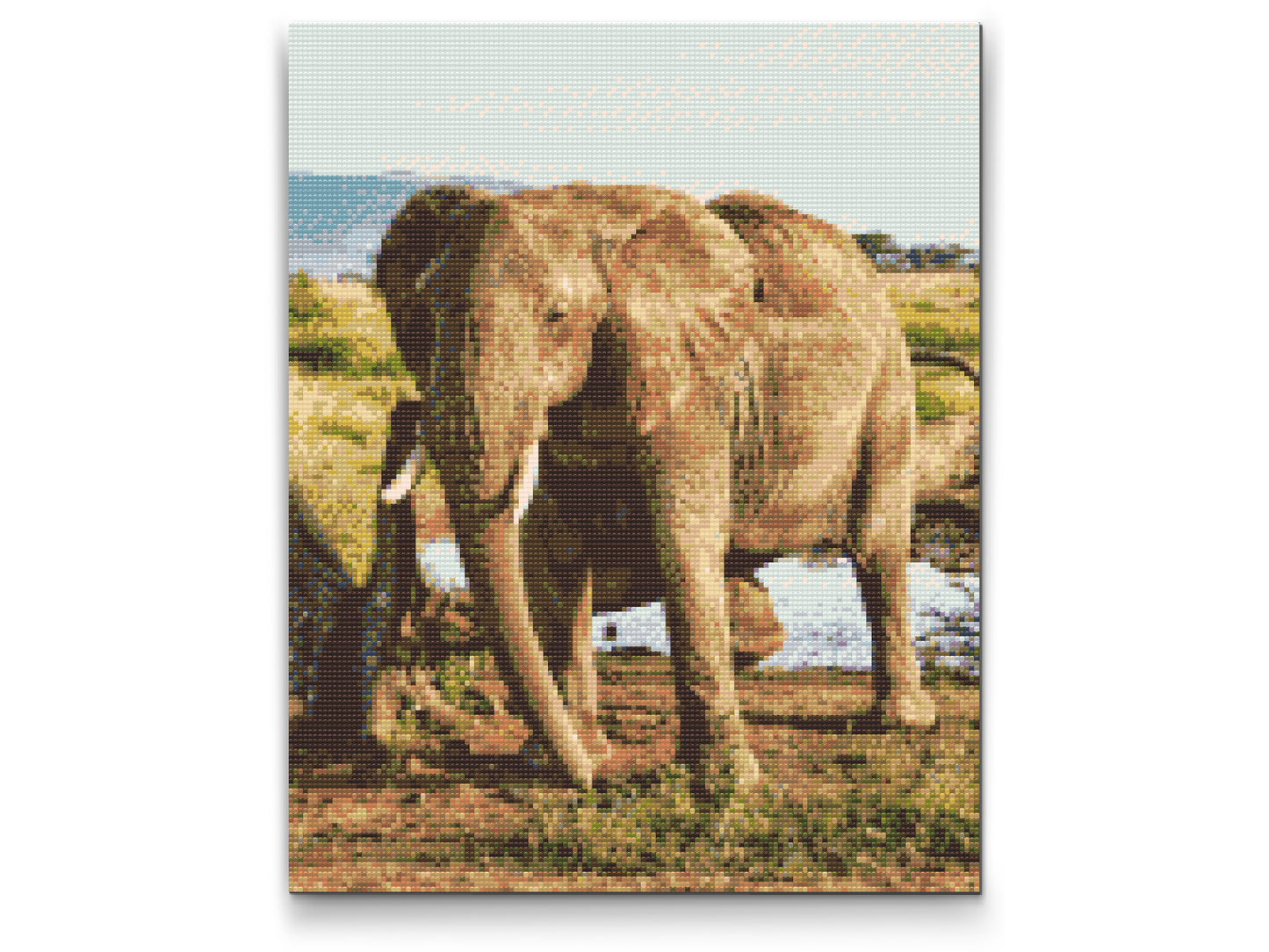 Diamond Painting - Safari - Elefant