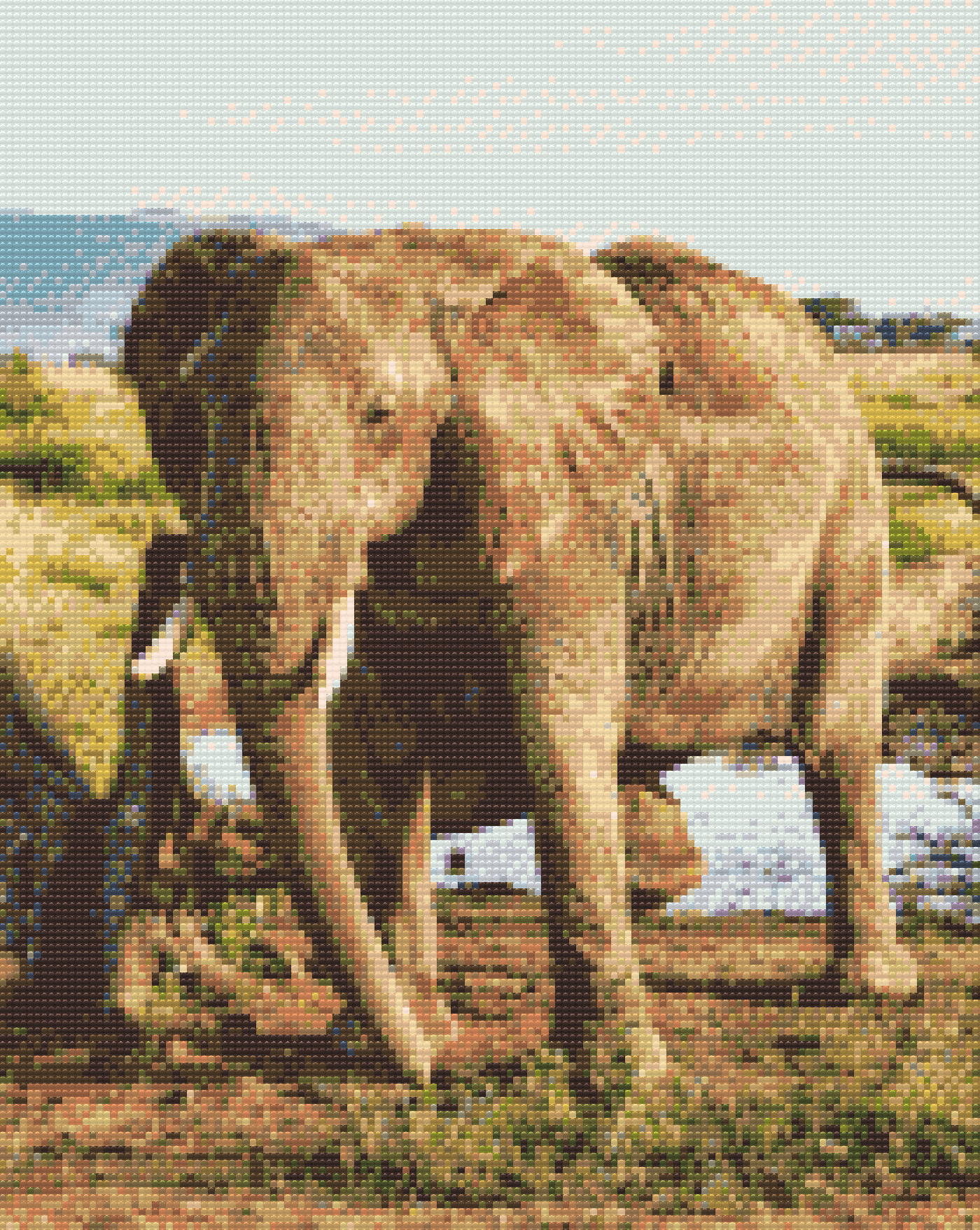 Diamond Painting - Safari - Elefant