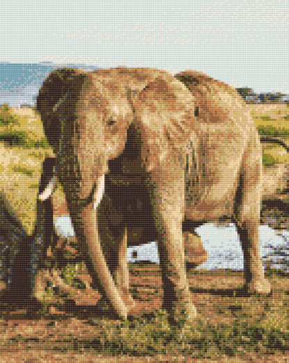 Diamond Painting - Safari - Elefant