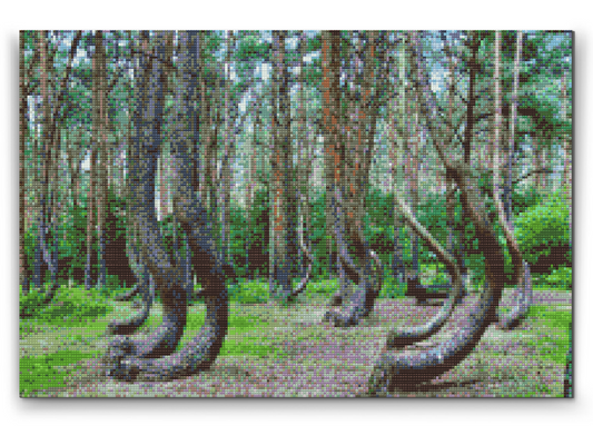 Diamond Painting - Kroget Skov i Polen