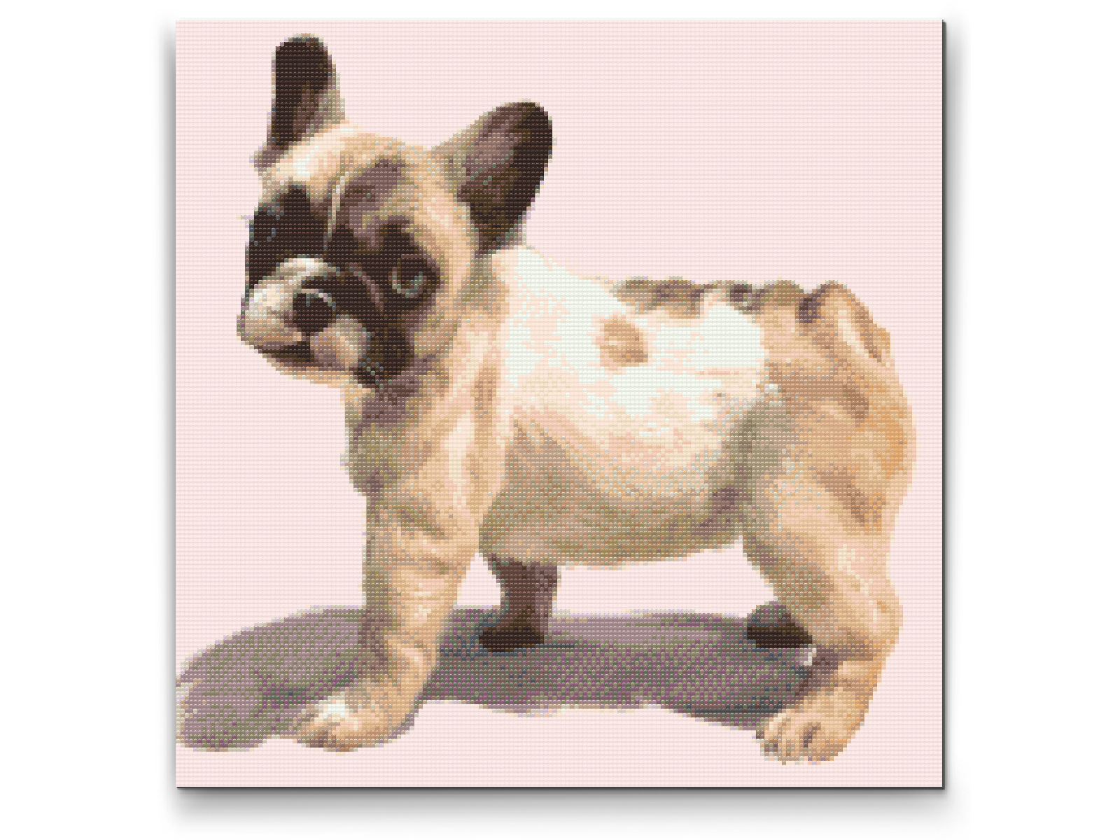 Diamond Painting - Fransk bulldog