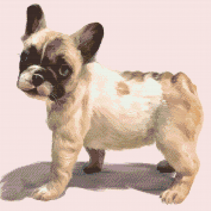 Diamond Painting - Fransk bulldog