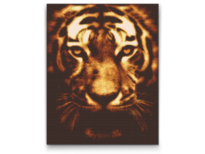 Diamond Painting - Tiger i Lys