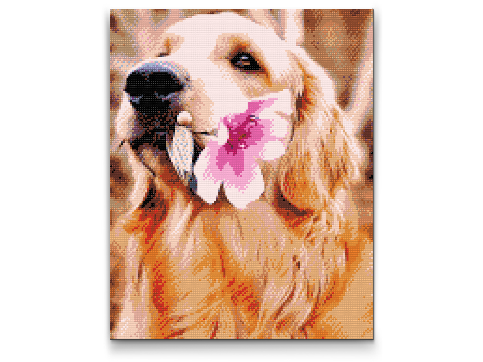 Diamond Painting - Labrador med blomst