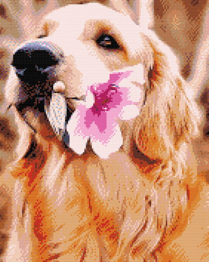 Diamond Painting - Labrador med blomst