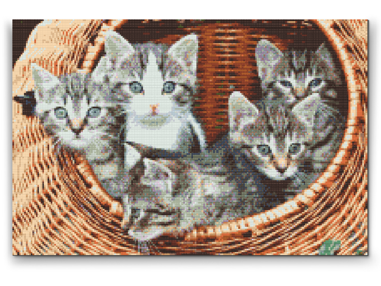 Diamond Painting - Katte i kurven
