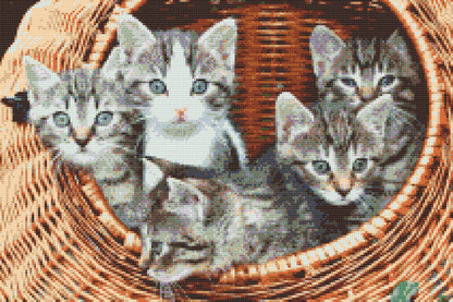 Diamond Painting - Katte i kurven