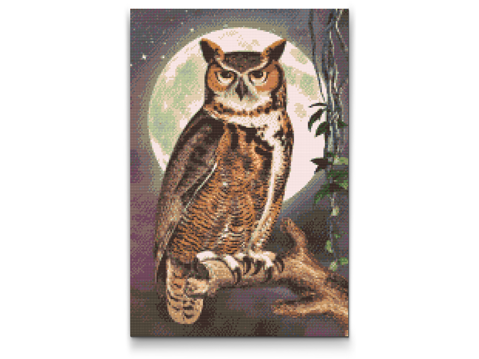 Diamond Painting - Wise Owl