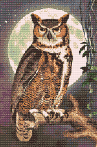 Diamond Painting - Wise Owl