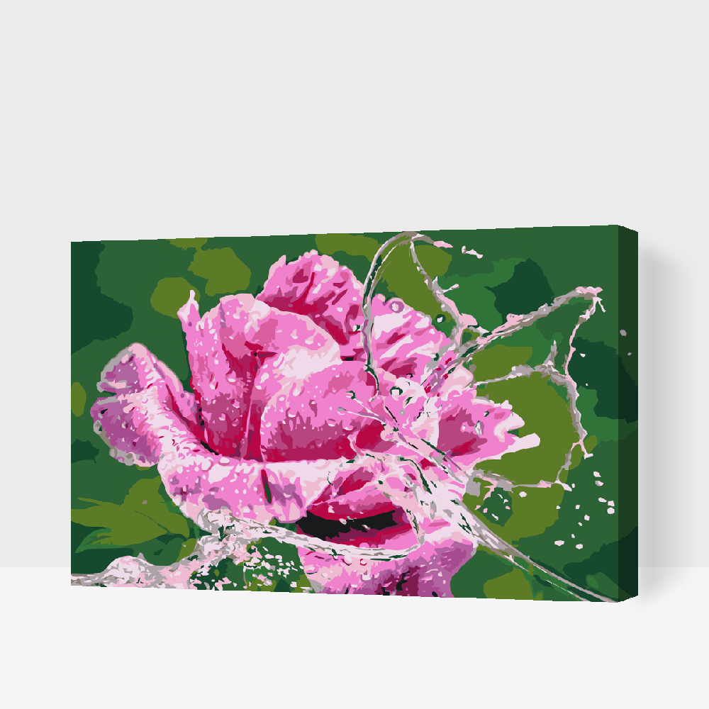 Paint by Numbers - Rose og Sommerfugl lavet af vanddråber