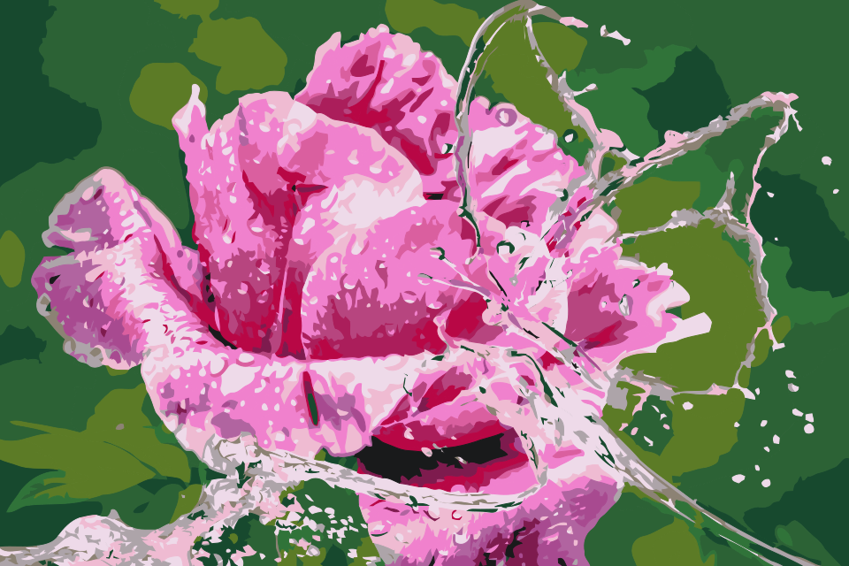 Paint by Numbers - Rose og Sommerfugl lavet af vanddråber