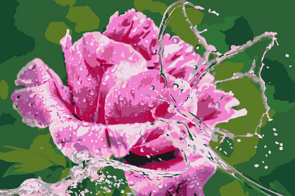 Paint by Numbers - Rose og Sommerfugl lavet af vanddråber