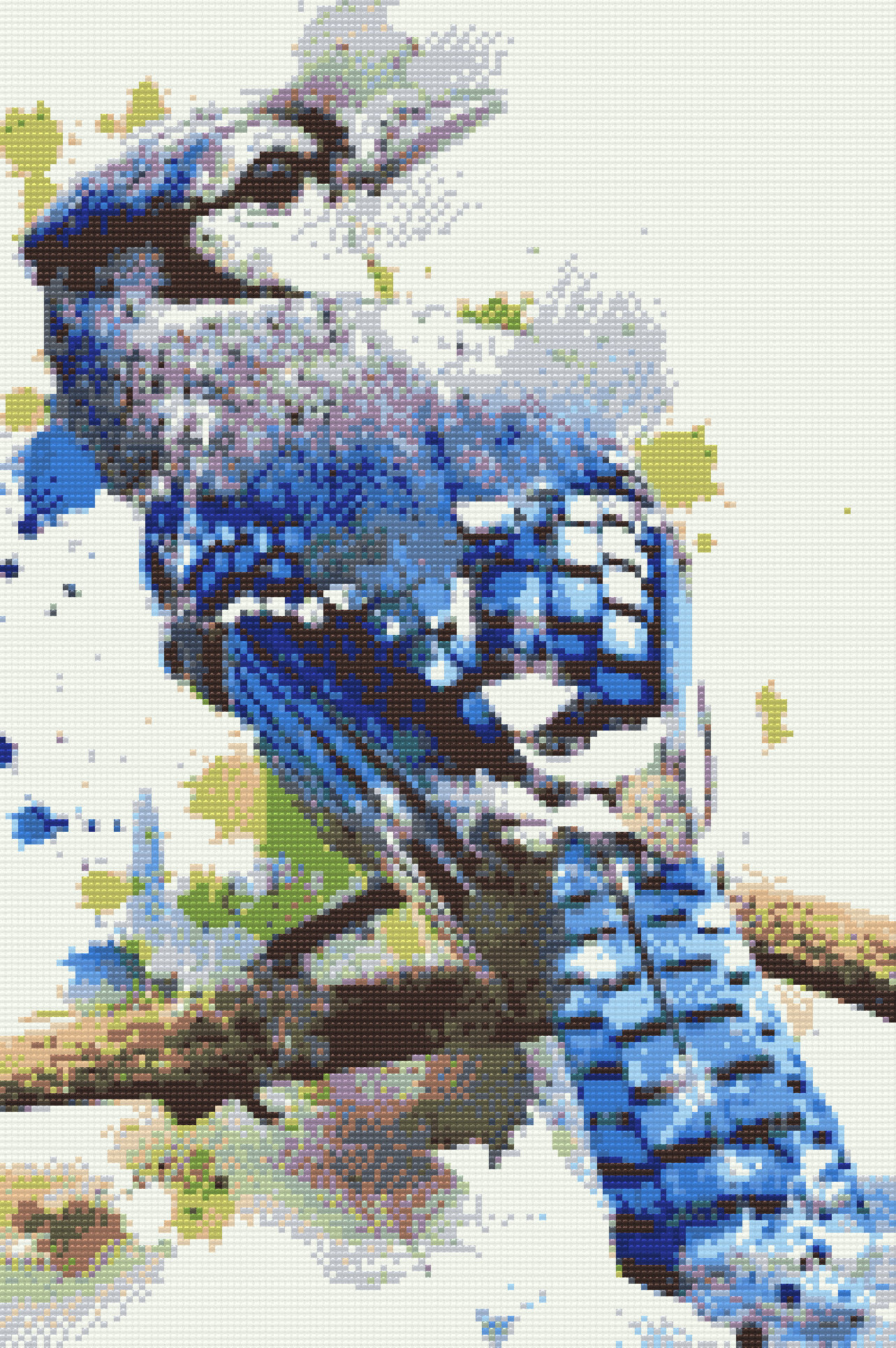 Diamond Painting - Cyanocitta