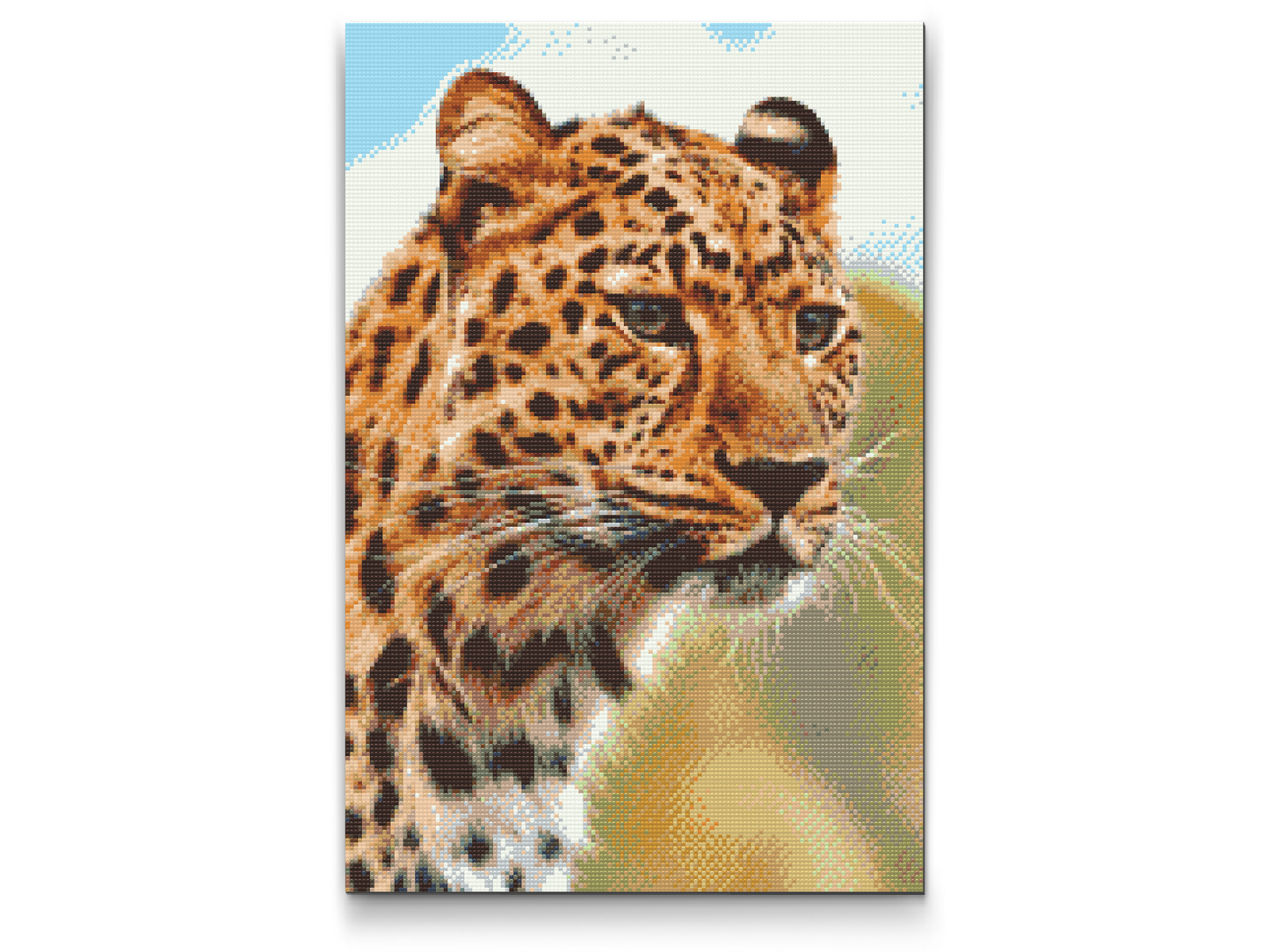 Diamond Painting - Leopardjagtudsigt