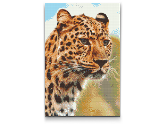 Diamond Painting - Leopardjagtudsigt