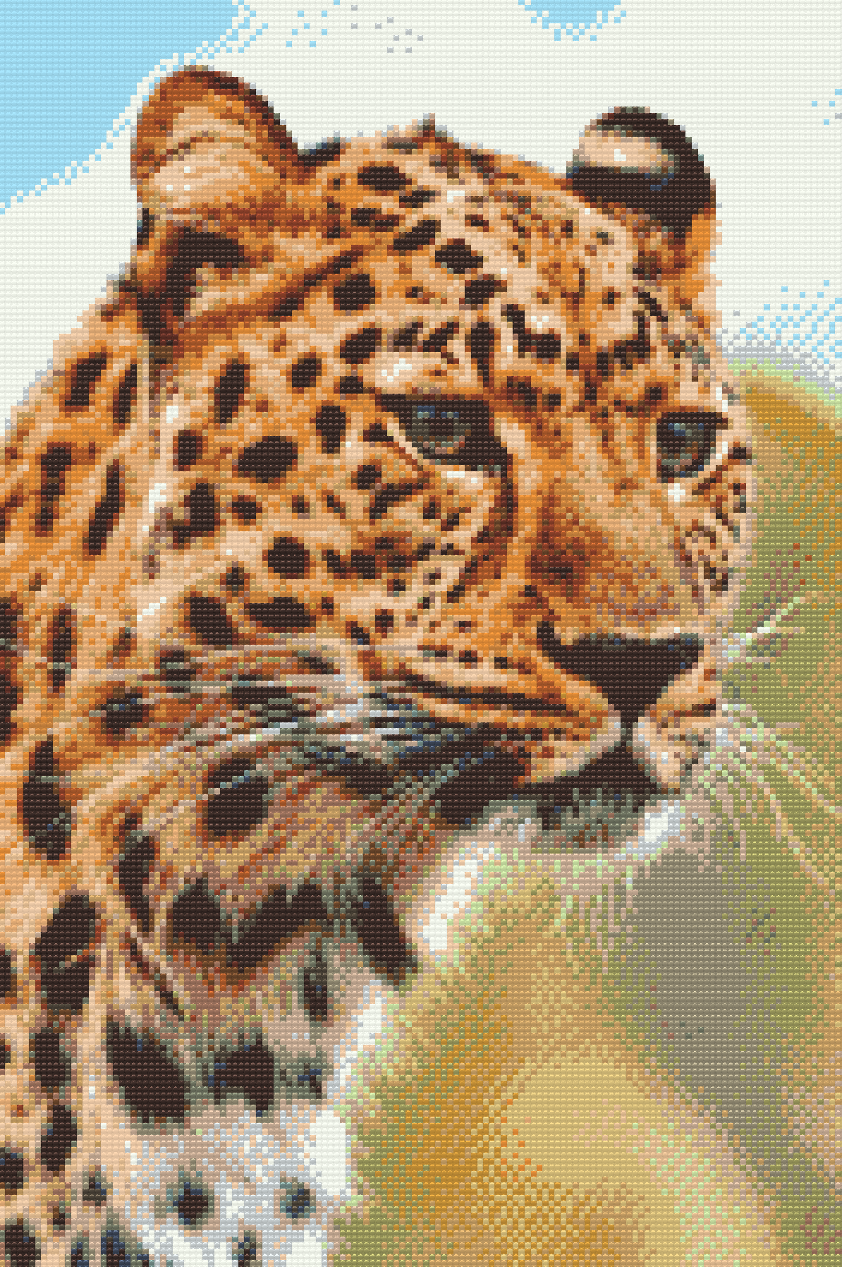 Diamond Painting - Leopardjagtudsigt