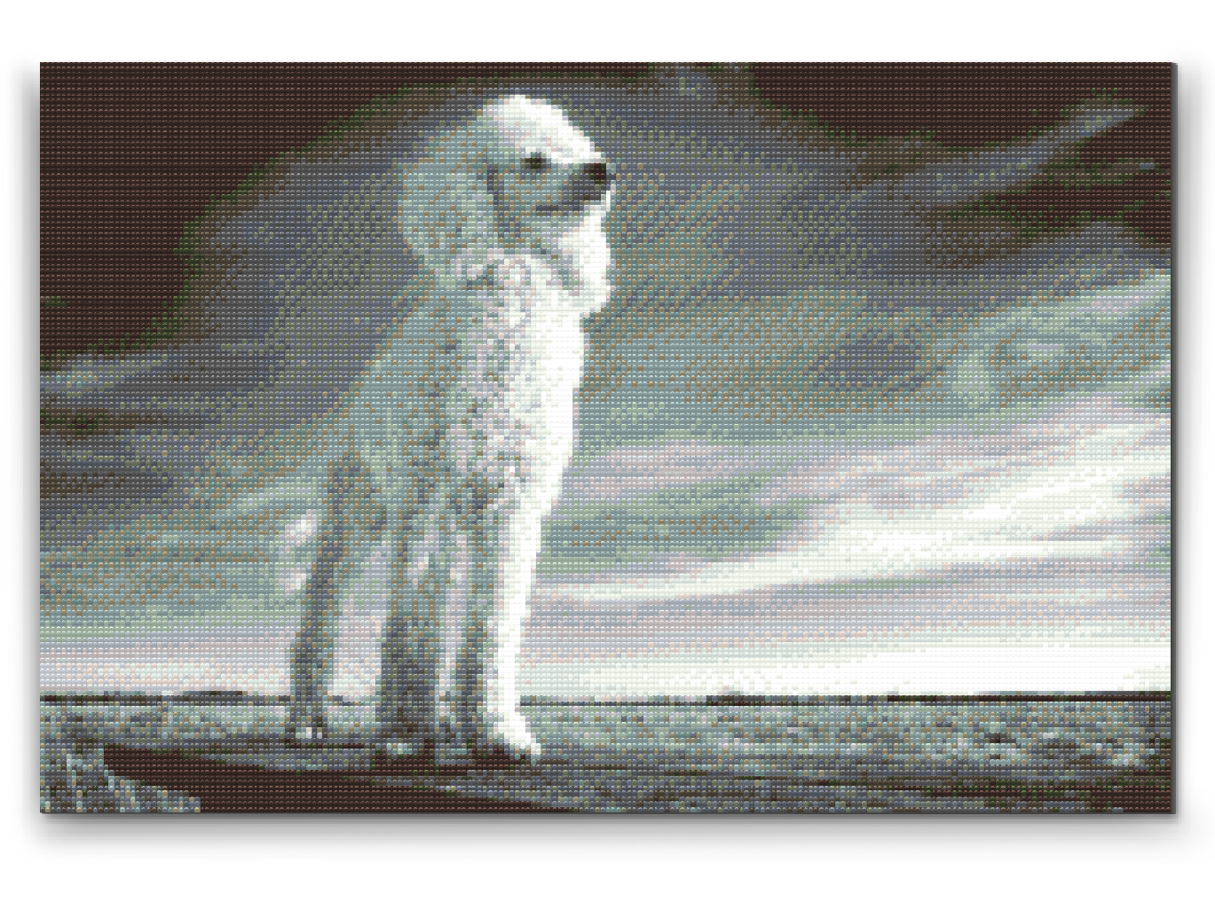 Diamond Painting - Puddel