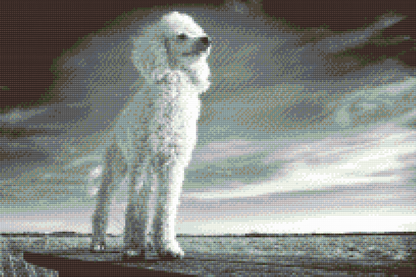 Diamond Painting - Puddel