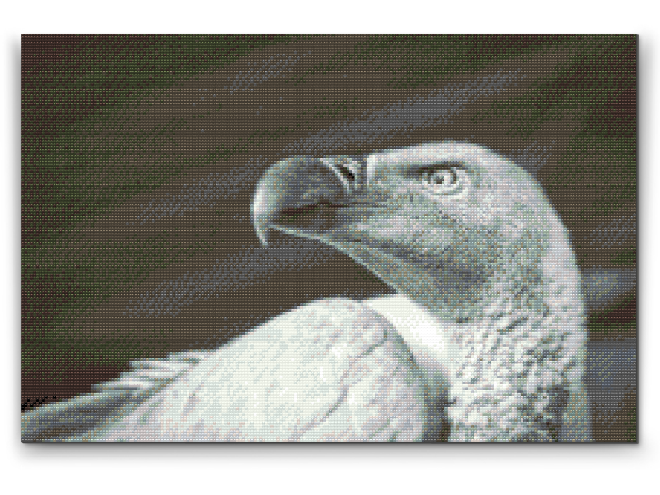 Diamond Painting - Gribfugl