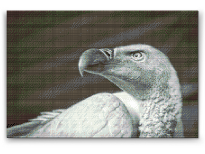 Diamond Painting - Gribfugl