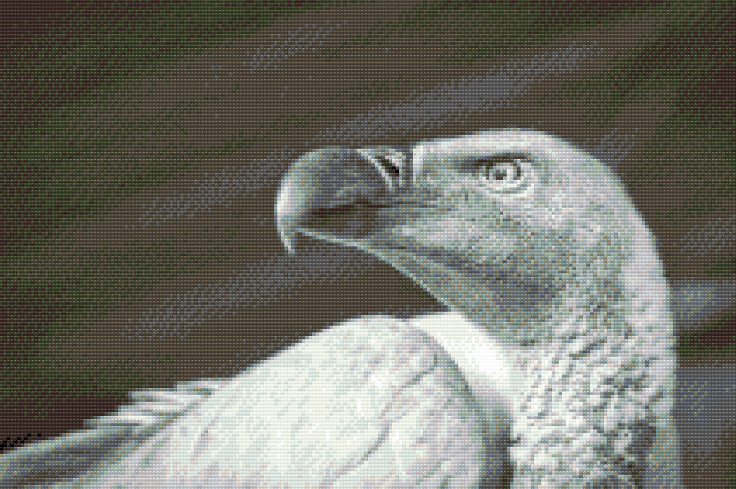Diamond Painting - Gribfugl