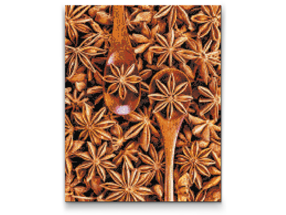 Diamond Painting - Stjerneanis