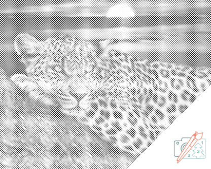 Mal-med-prikker -  Leopard ved solnedgang