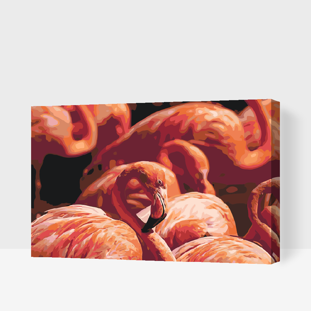Paint by Numbers - Flamingos 2