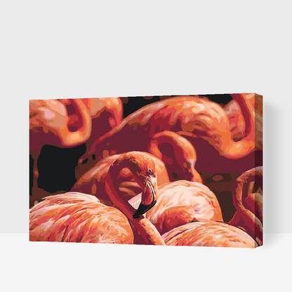 Paint by Numbers - Flamingos 2