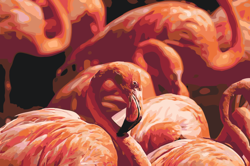 Paint by Numbers - Flamingos 2