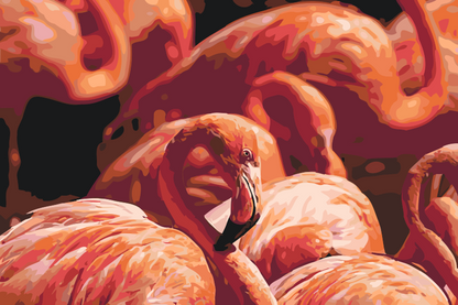 Paint by Numbers - Flamingos 2