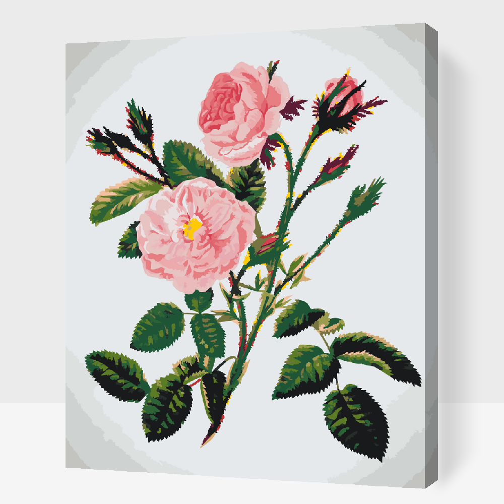 Paint by Numbers - Vilde lyserøde roser