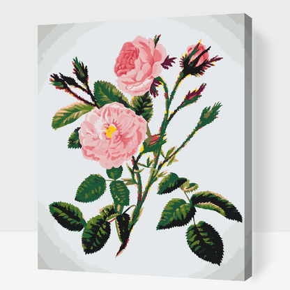 Paint by Numbers - Vilde lyserøde roser