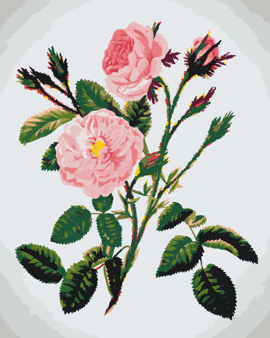 Paint by Numbers - Vilde lyserøde roser