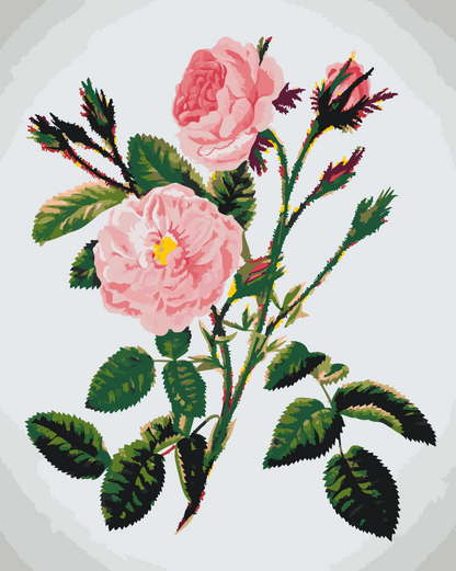 Paint by Numbers - Vilde lyserøde roser
