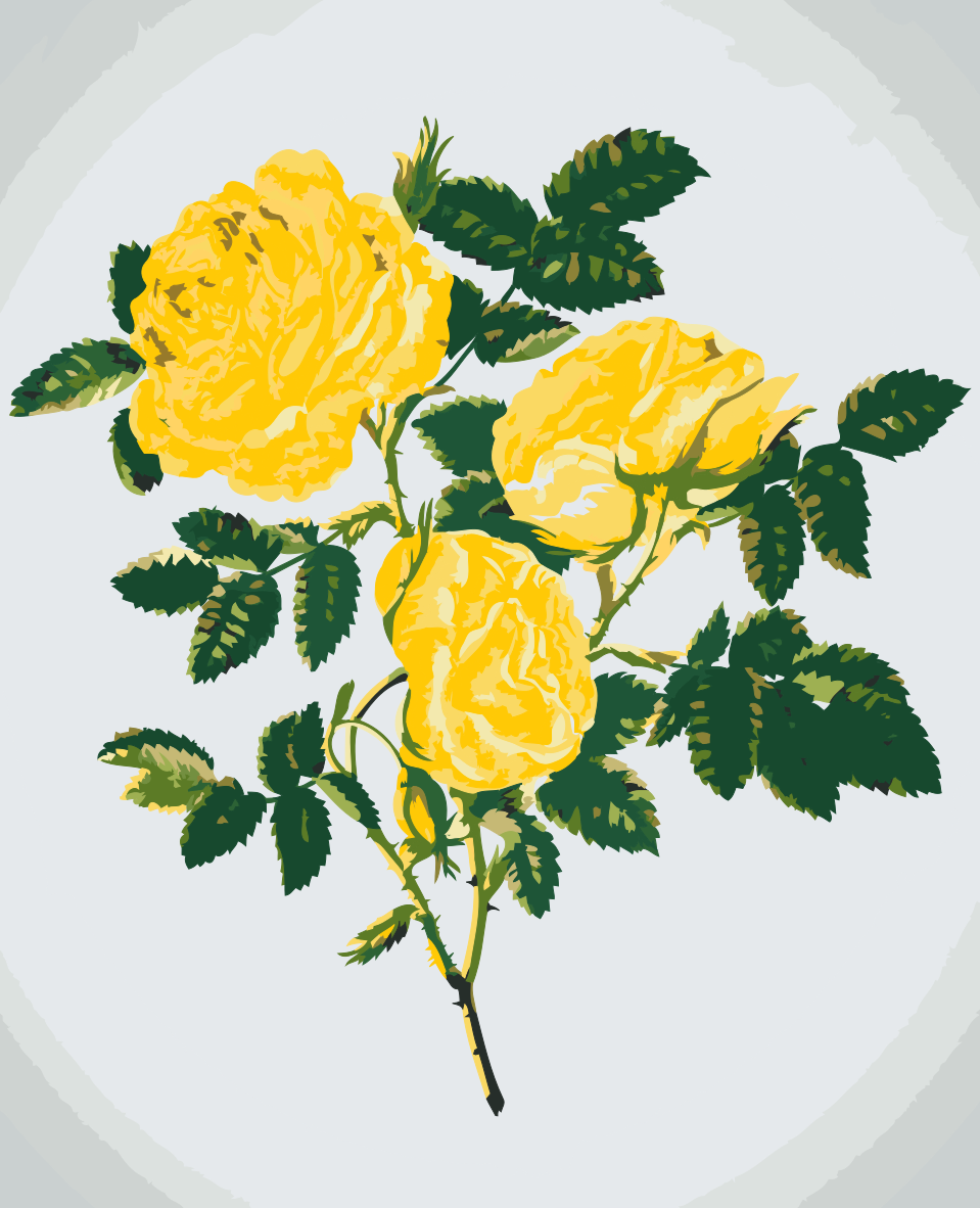 Paint by Numbers - Vilde gule roser