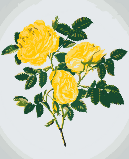 Paint by Numbers - Vilde gule roser