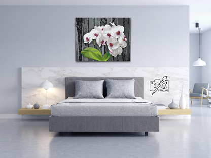 Paint by Numbers - Hvid Orkidé