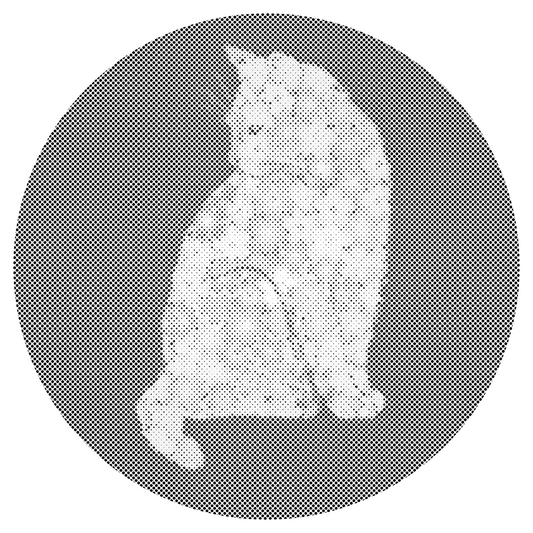 Mal-med-prikker -  Blomsterkat