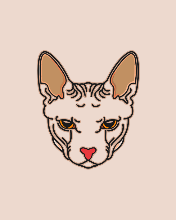 Paint by Numbers - Cats Head