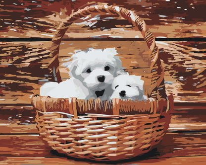 Paint by Numbers - Hunde i kurven