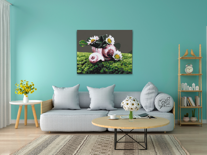 Paint by Numbers - Margueritter i konkylien