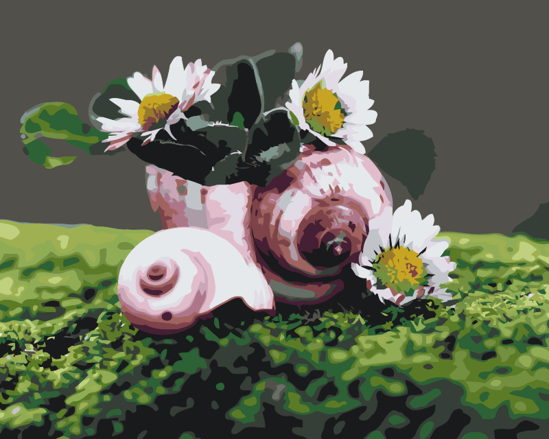 Paint by Numbers - Margueritter i konkylien